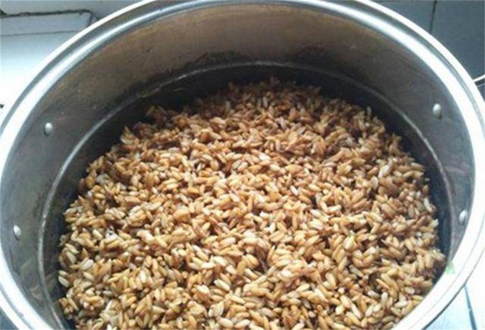 谷子酒制作方法-熟料谷酒如何发酵