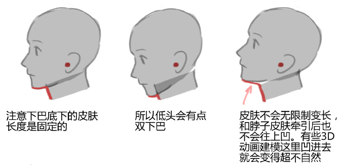 原創仰視角度的下巴和脖子怎麼畫教你繪製人物下巴和脖子的關係體現