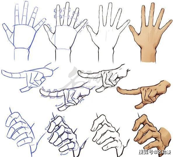 零基础画手教程:手指的结构,握住东西的手
