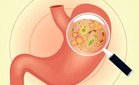 吃什么药能快速降低幽门螺杆菌 4ac6e8d6dda04809941f87155211c571.jpeg