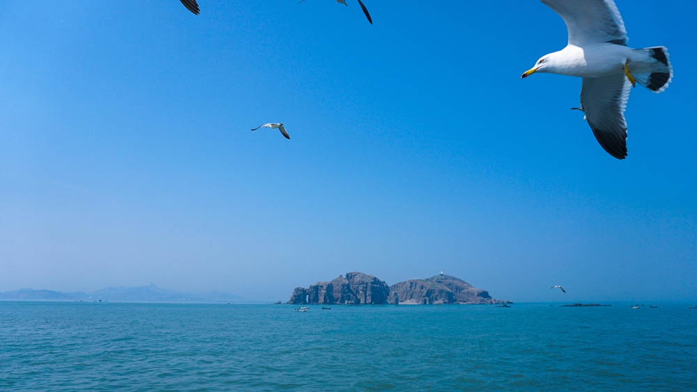 榮成海驢島仙氣飄飄西霞鷗翔