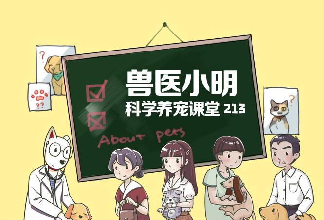 所是什么意思 815e15f9703e4d89b1908b85aaa84e04.jpeg