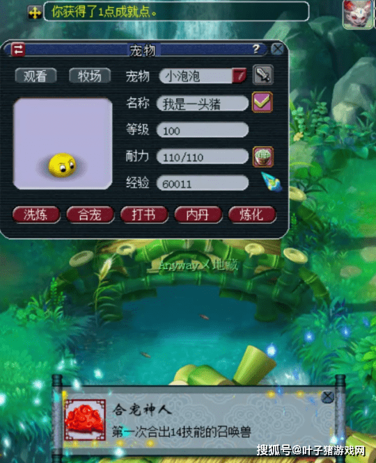 梧桐|梦幻西游：无级别玉清男头被淘汰！神豪更新19锻无级别破碎女头