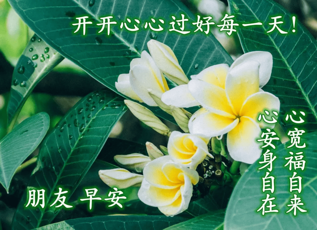 原创非常好看早晨早安问候语暖心的早上好问候祝福语图片