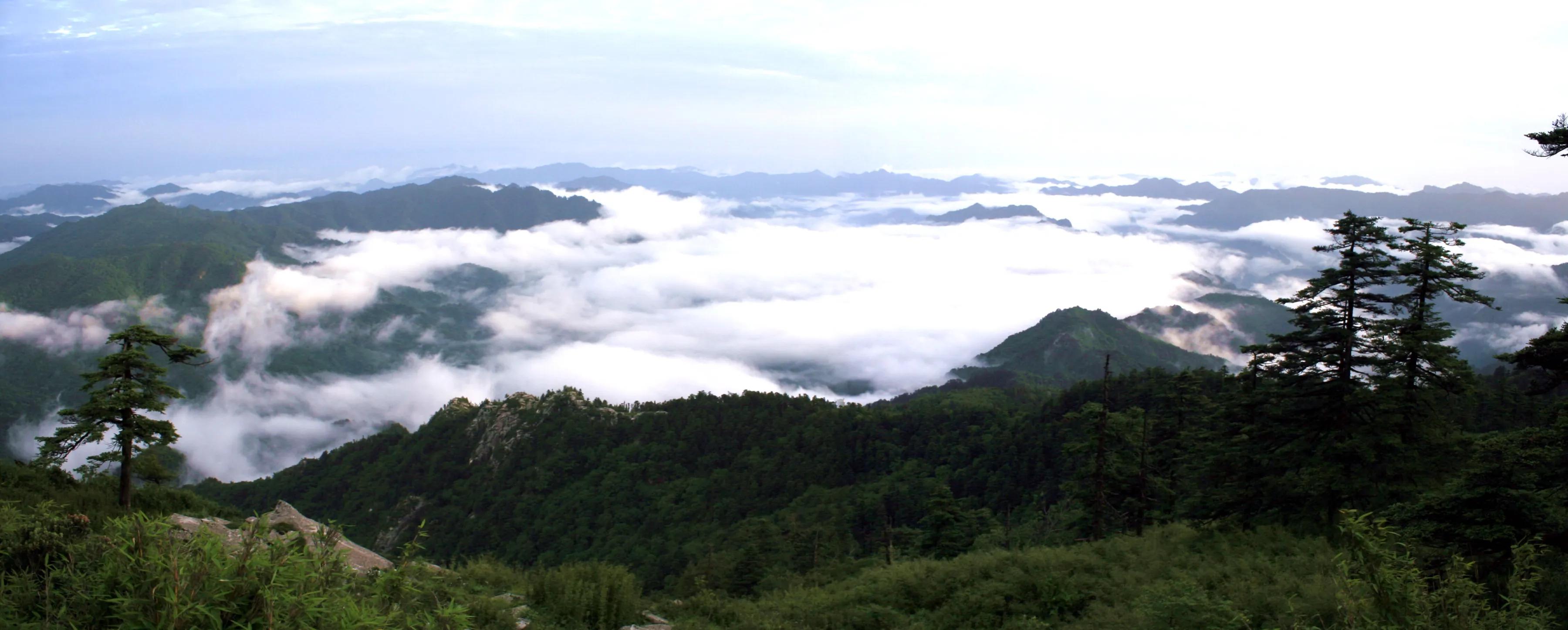原创陕西佛坪秦岭深处的生态卫士
