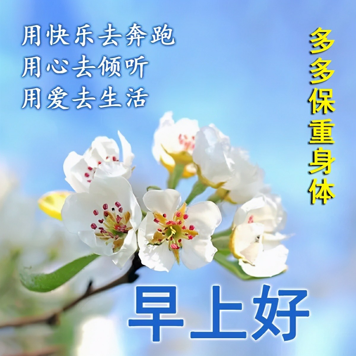 祝你早安简谱_祝你早安午安晚安视频