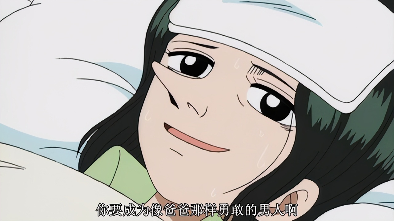 祝天下母亲节日快乐海贼王中的6位母亲让人感动索拉守护山治