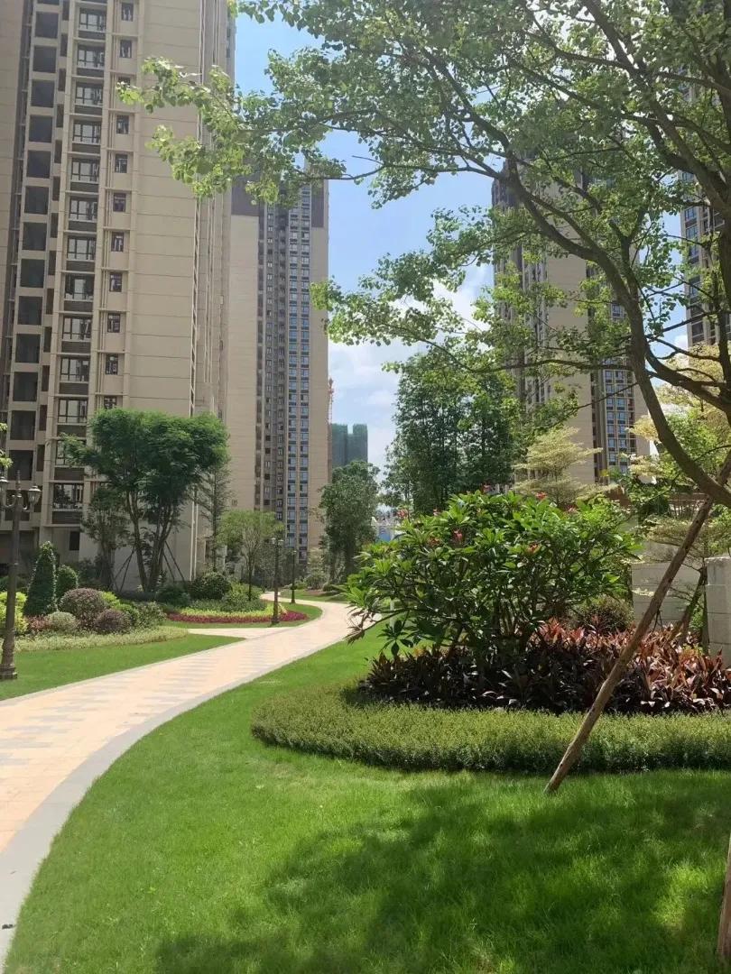 官方网站惠州隆生仲恺花园真是忒火仲恺花园快来关注一下