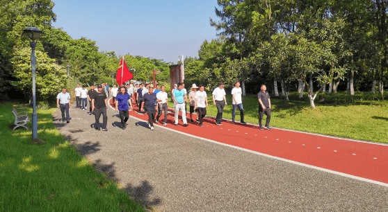麻丘镇开展"重温党史路,健步跟党走"庆祝建党100周年主题健步行活动
