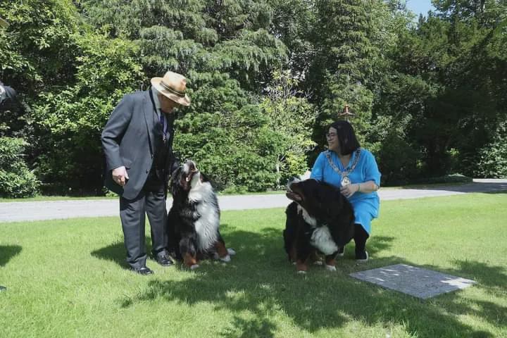 爱尔兰总统一本正经接受采访，他养的伯恩山犬抢走镜头
