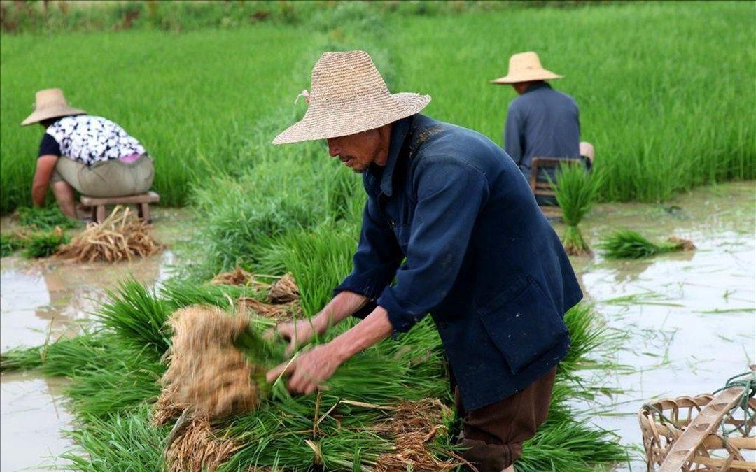 原创农村俗语男的打鼾守田庄女的打鼾守空房啥意思在理吗