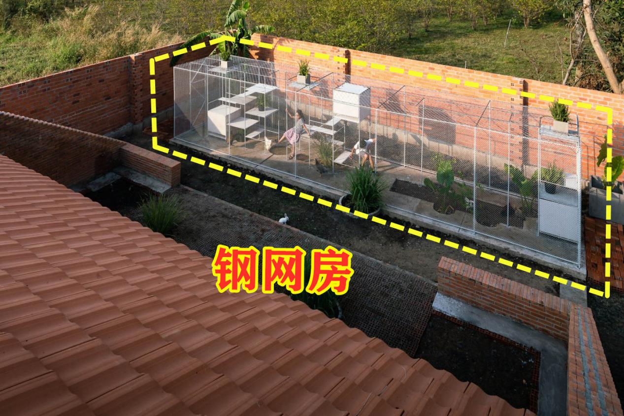 在农村养鸡好还是养兔子好(在农村养鸡好还是养兔子好一点)