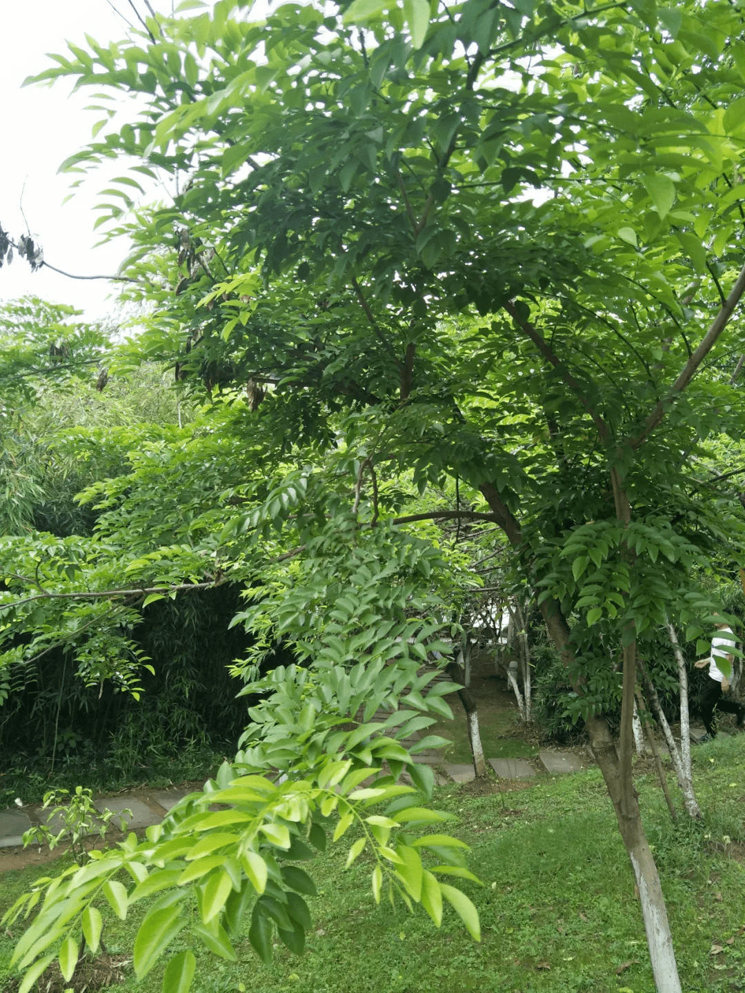 3ff84ce1edae4798aa0b1820b362b6a8.png