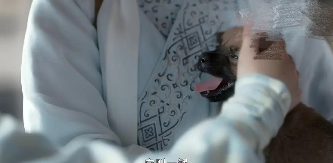 山河令成小偷令编剧被爆多次融梗台词还涉嫌抄袭古龙