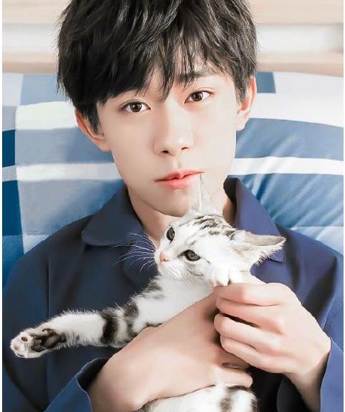 王菲罕见牵手谢霆锋 将军诺 超暖 张翰