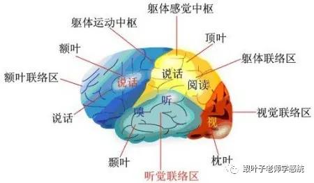 文章配图-2