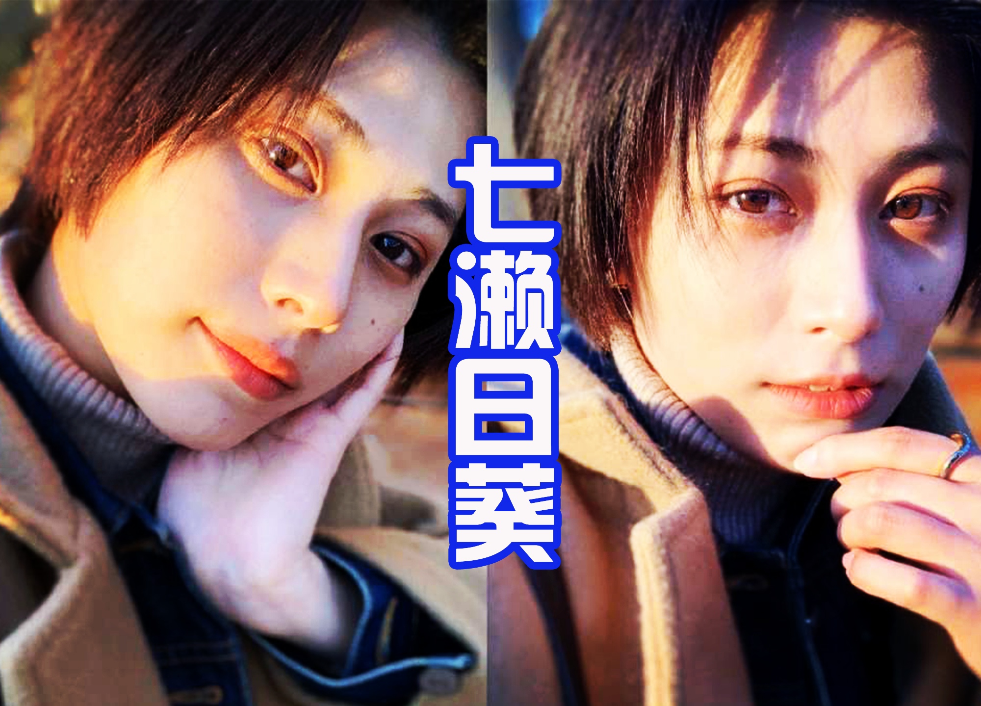 特利伽奥特曼 冰山美人上线 碾压千金小姐 泽塔会客串出场 角色