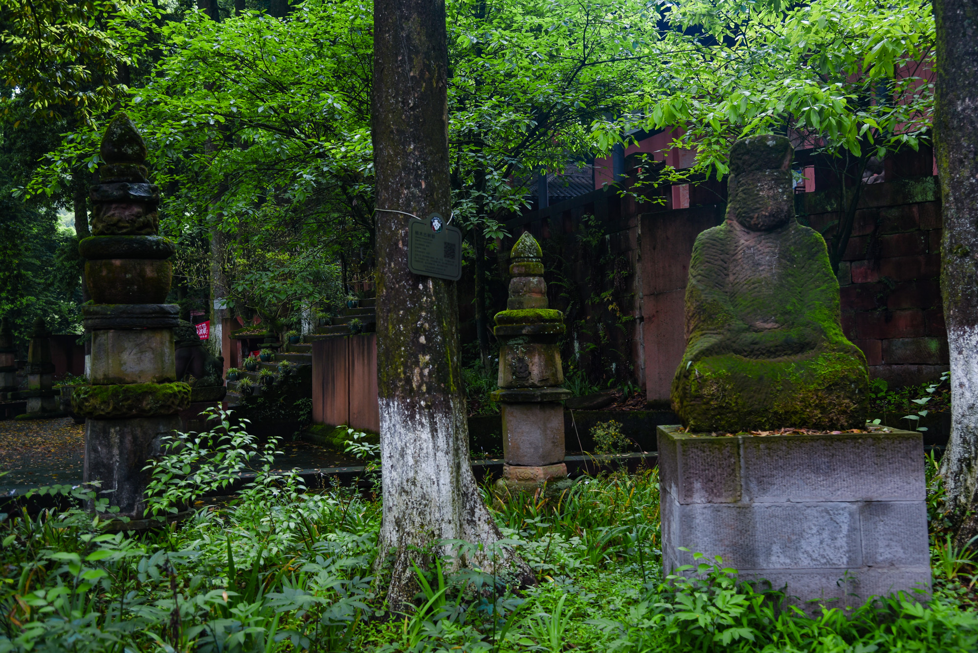 合江法王寺,来一次禅意之旅