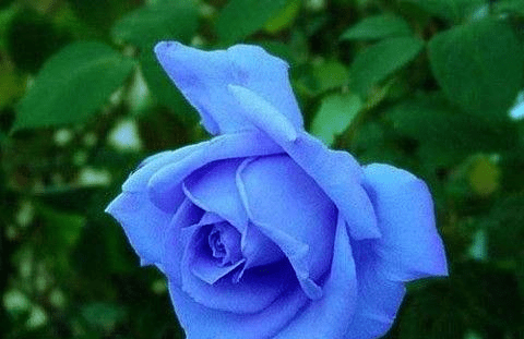 7e79018213eb4a648f8d7f2d160b9880.png