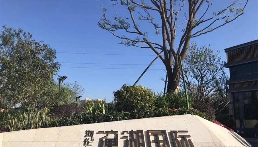 惠州仲恺潼湖片区高铁站7折现楼海伦堡海伦艺境89平三房首付6万送21万