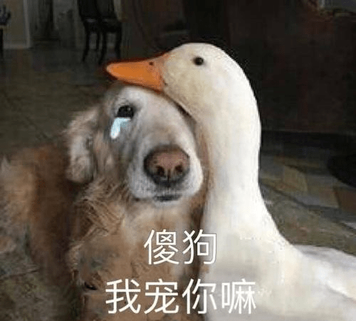 鸭狗什么成语_成语故事手抄报(2)