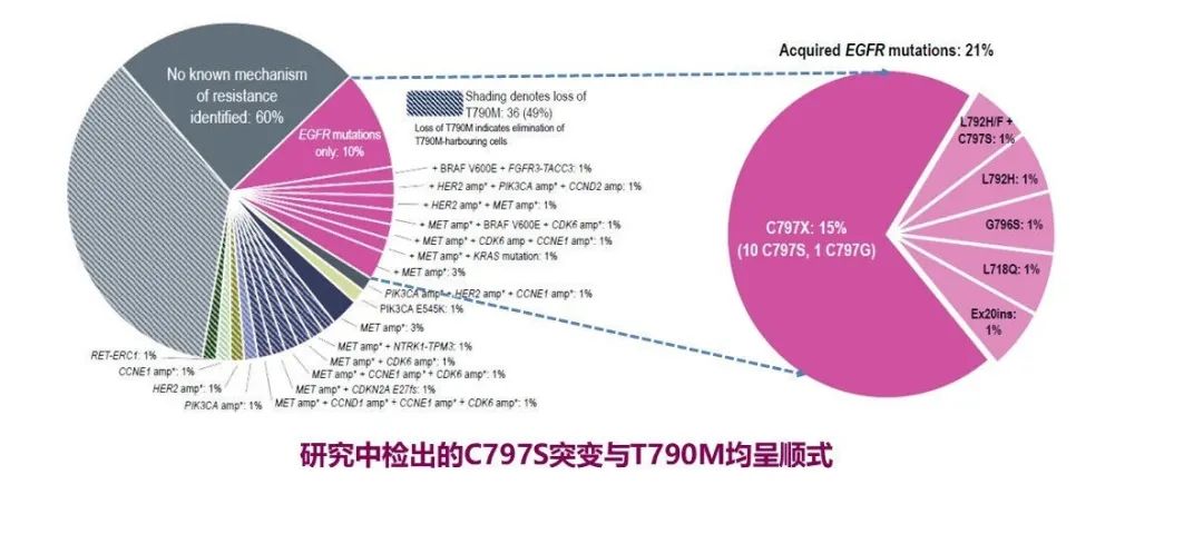 生殖细胞突变只影响后代吗男女(突变只有发生在生殖细胞中才能遗传给后代)-第1张图片-鲸幼网