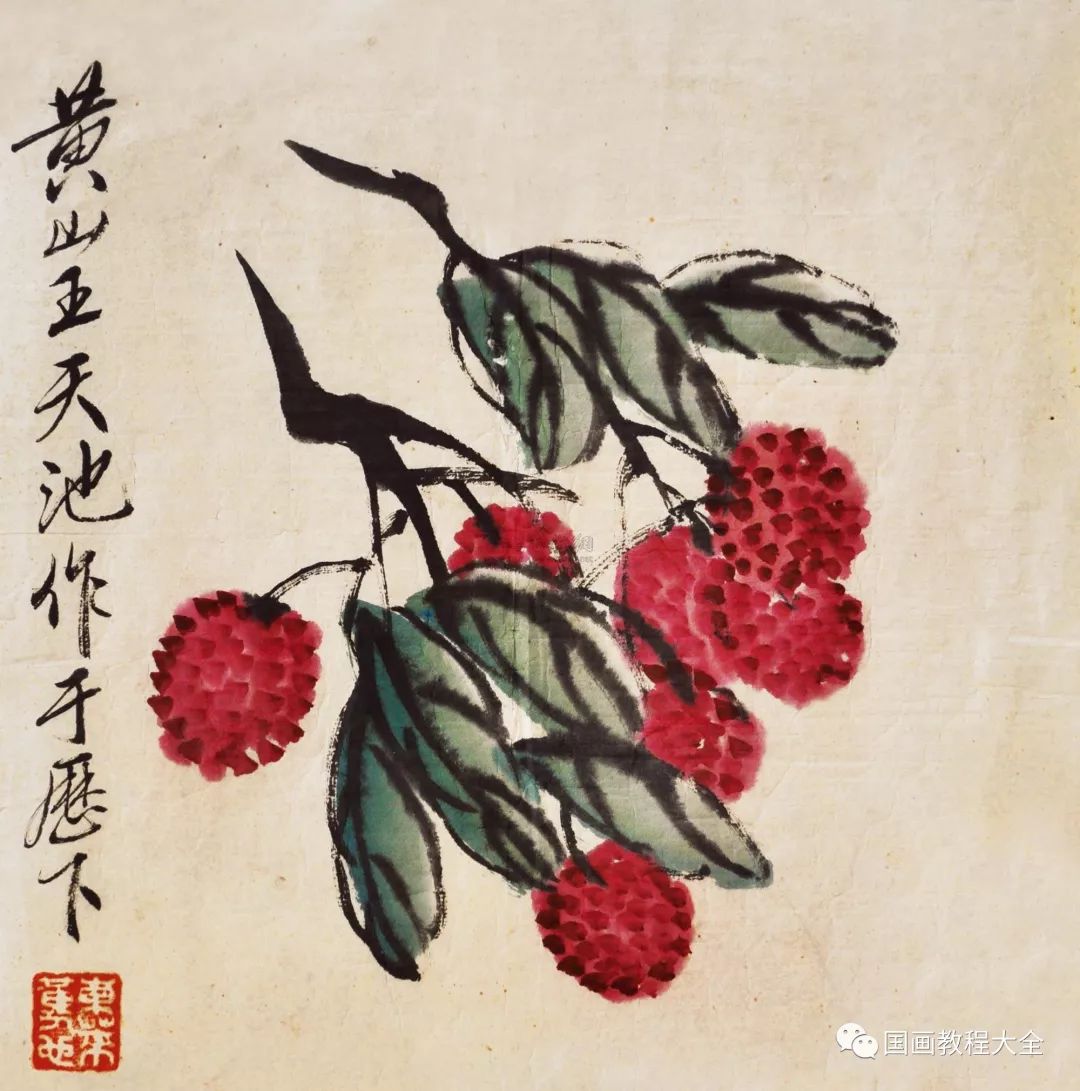 详细的荔枝写意画法，一学就会_步骤
