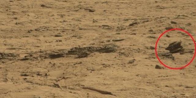 火星再次发现疑似生命活动迹象网友这是真的吗