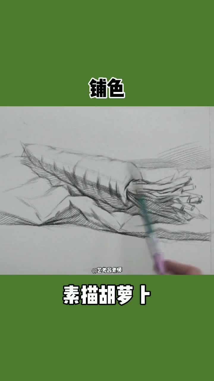 素描胡萝卜铺色