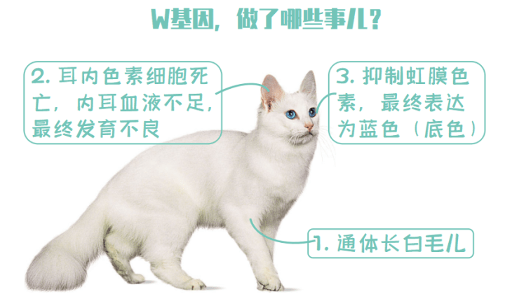 3f3bcfd002a842f5bdf344c9db0dee08.png