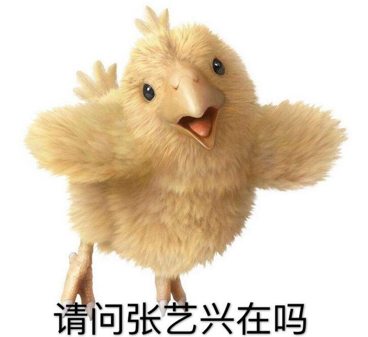 711e19a863be4d52bd2bcf6e75abd9cb.jpeg