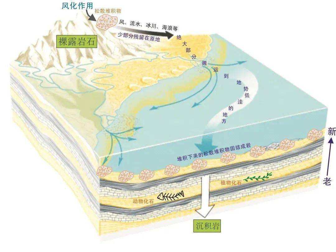 原创地球上的石油是怎么来的石油枯竭论真的是大谎言吗