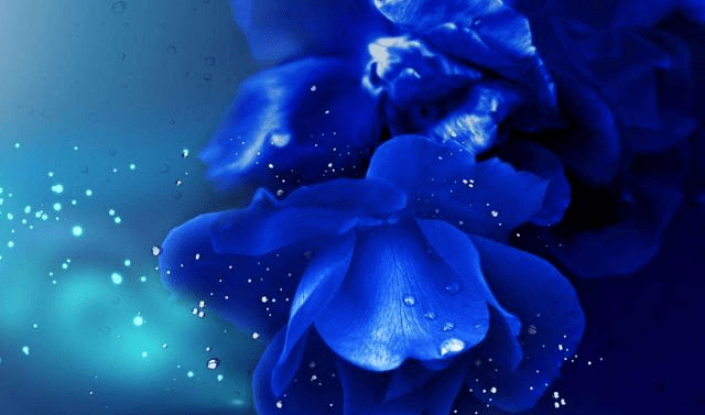 f47618a8d15140fd963f6130b0a37598.png