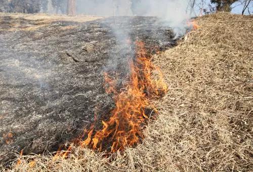 2020年4月15日9时许,派出所民警在辖区内巡逻过程中,发现七家岭村一
