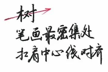 ff6fb45989374690943cdb57ae065022.jpeg