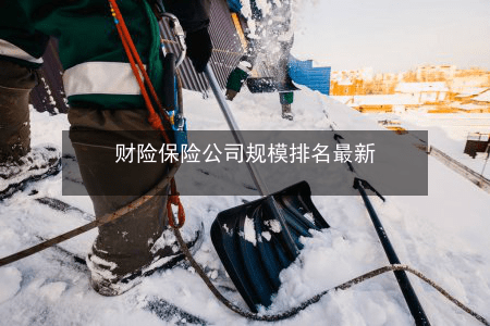 车险公司排行_财险保险公司规模排名最新