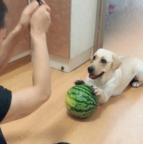 8c0599c8202b4713b249597260c7ec43.jpeg