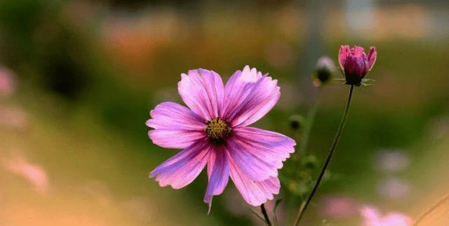 86c73369d51543328376ddd3f07a4274.png