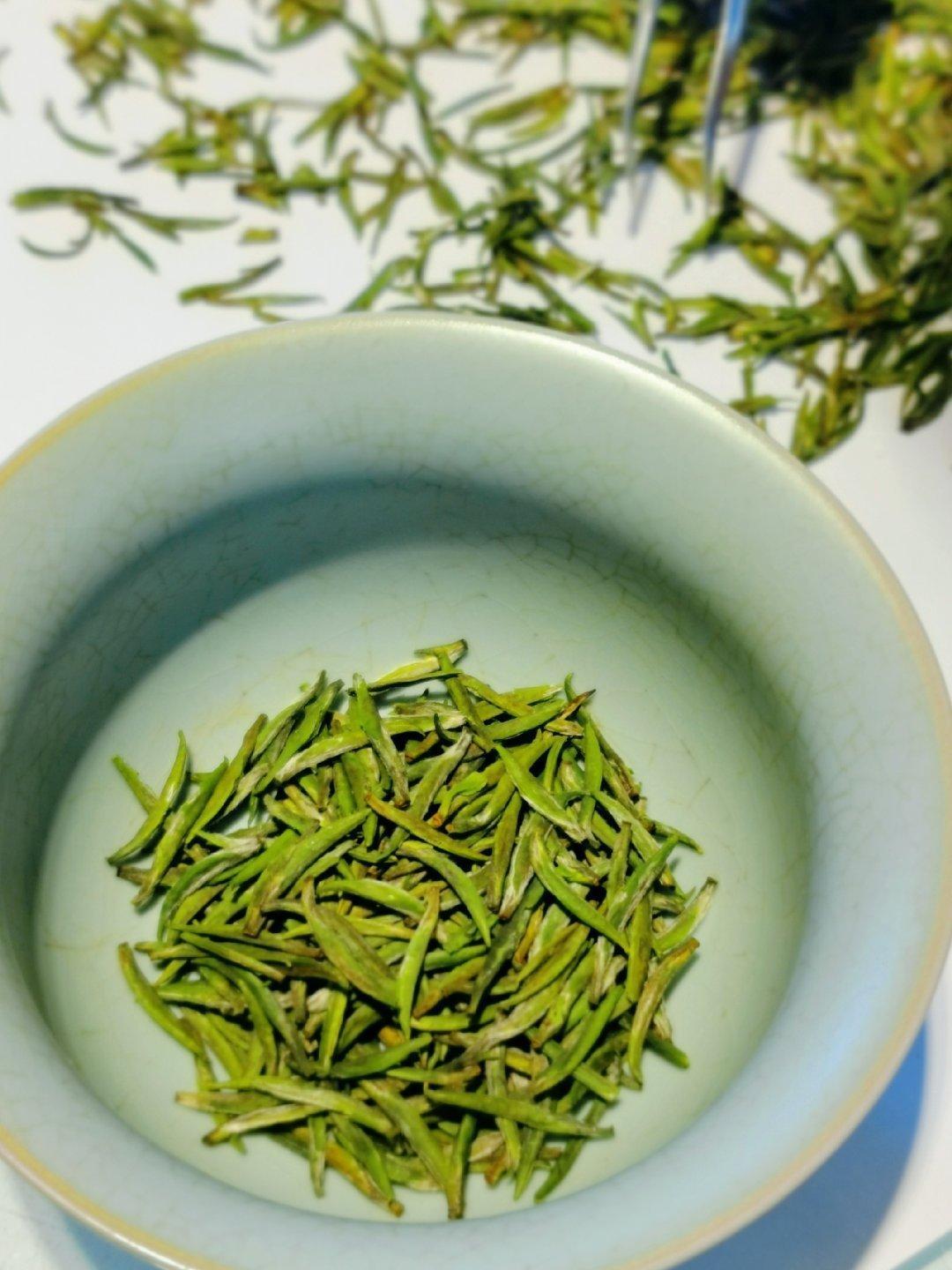 第二届陕西网上茶博会走进平利赏美丽茶园风光寻世界最早的茶