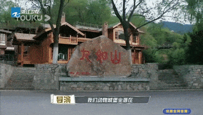 打卡地:九如山豪蒙聚集地"动物城堡"还有其ta"小动物"在等着他们.