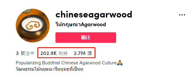 TikTok热门中国博主 b2d0d7815c7247cda4777e7aaa1b96ee.png