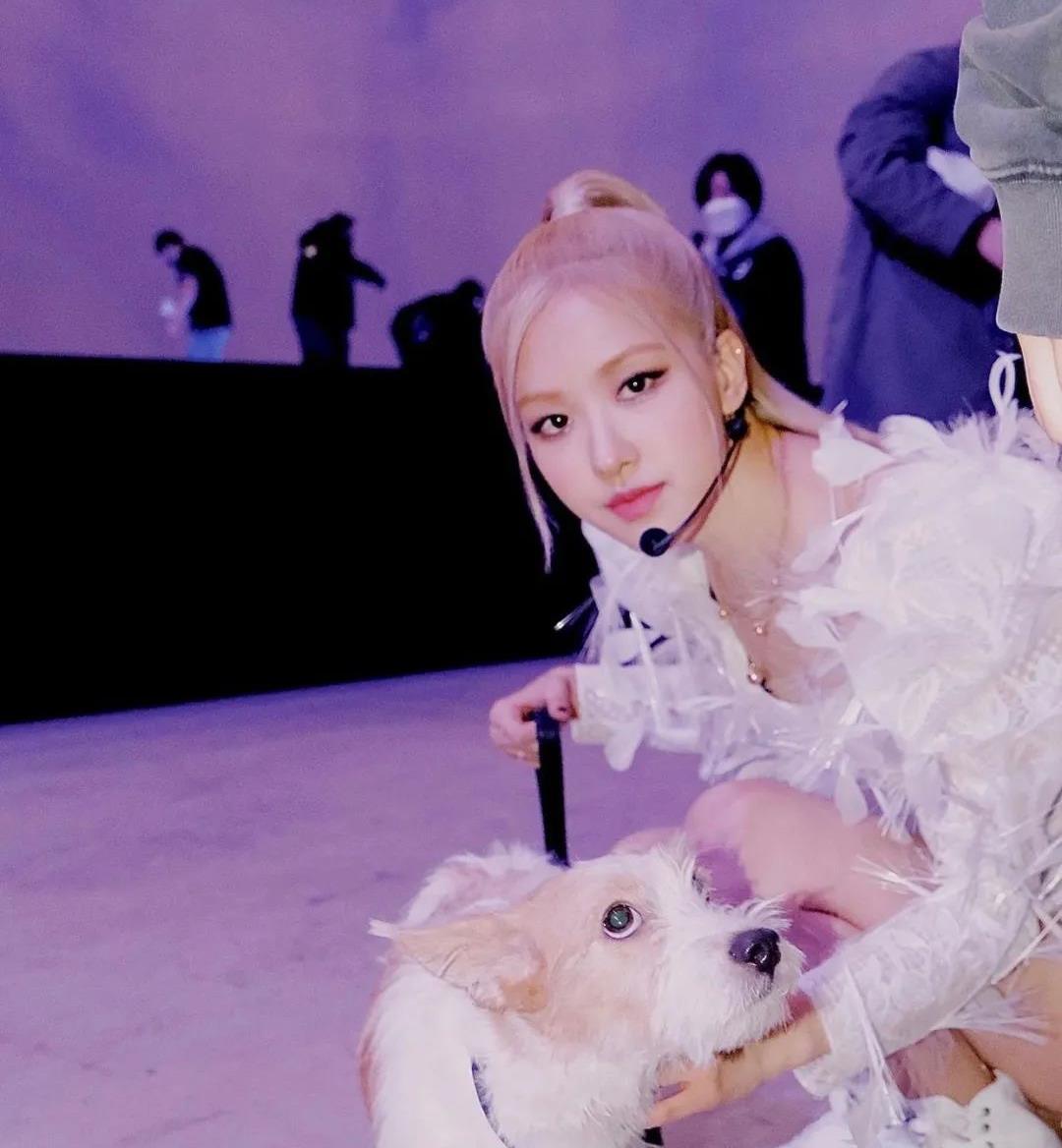 rose的粉白色少女感很强,扎着贴头皮的高马尾,利落干净,甜美中带点