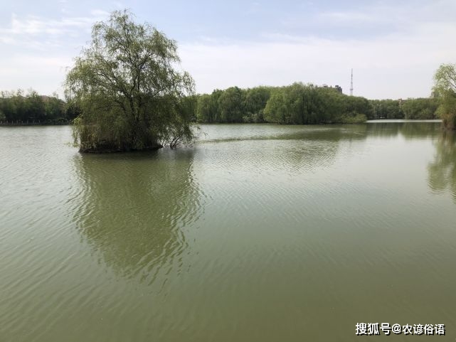 而辛丑年的地支为丑,丑为太阴湿土,所以今年的五运六气就是"太阴湿土