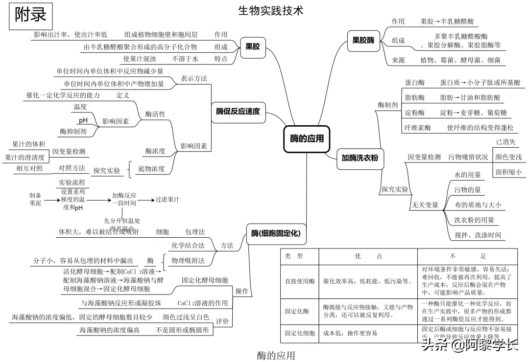 全的高中生物思維導圖來了~~無論是你是高一,高二,還是高三複習的同學