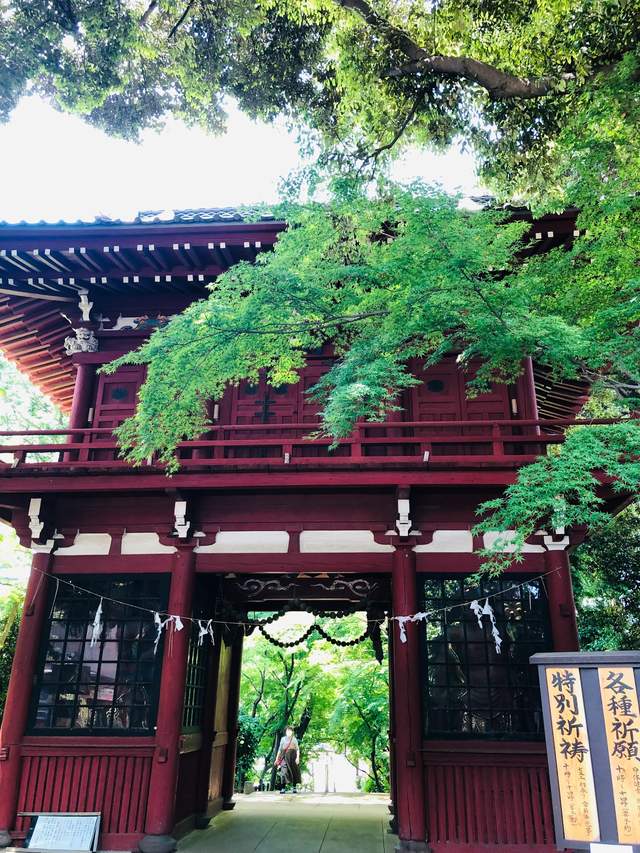 东京周边的一处赏花踏青的寺庙 有一万株绣球花和五千株菖蒲花池 紫阳花