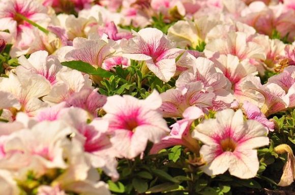 05ab469cbf944458bb297e9aed0072b7.jpeg