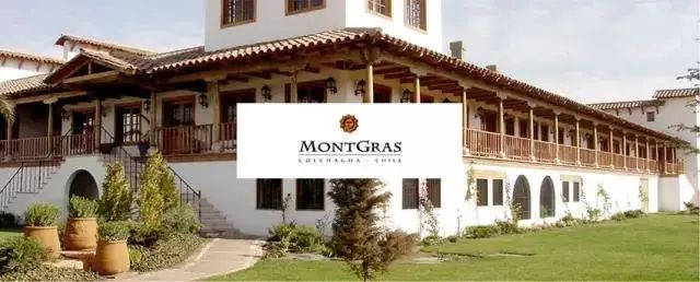 Wines|Wines of Chile明星阵容亮相Wine to Asia 2021,呈现智利魅力!