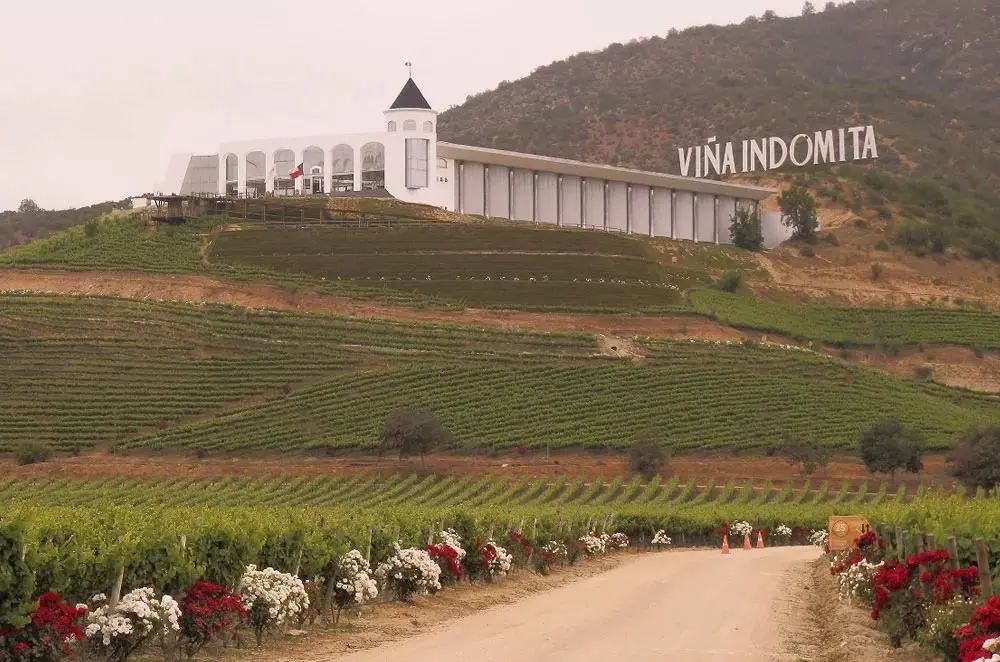 Wines|Wines of Chile明星阵容亮相Wine to Asia 2021,呈现智利魅力!