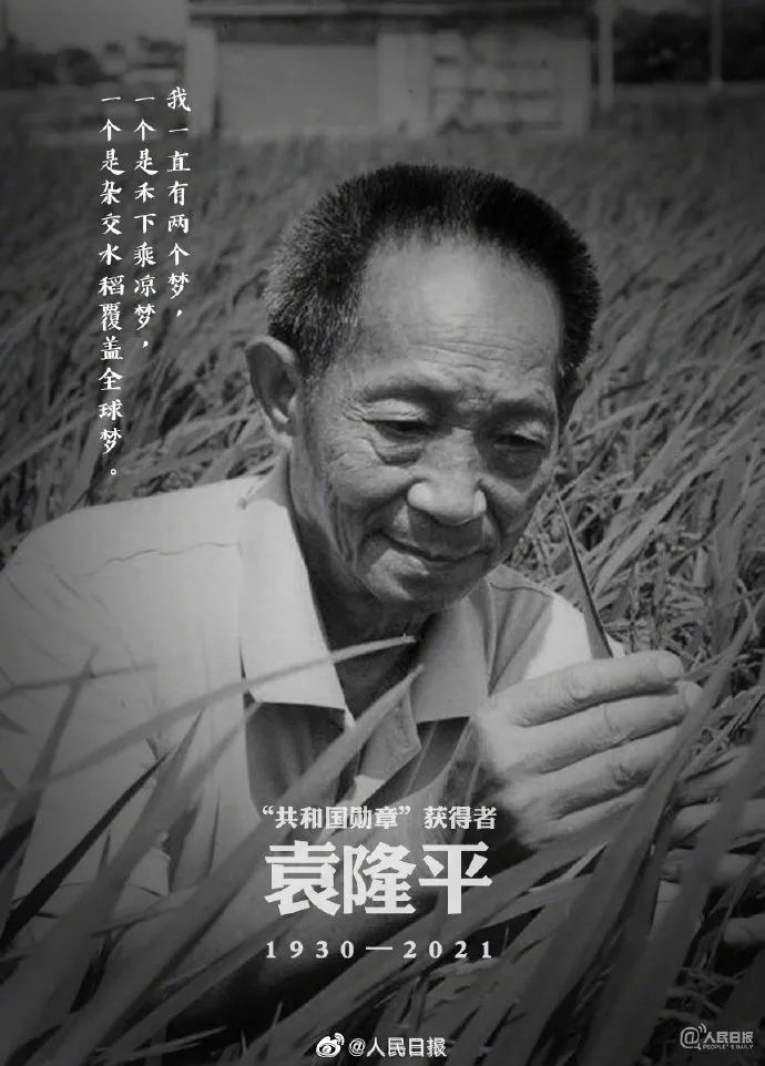 送别袁隆平 宠妻 撸猫 秀英语 他是永远的 90后 The