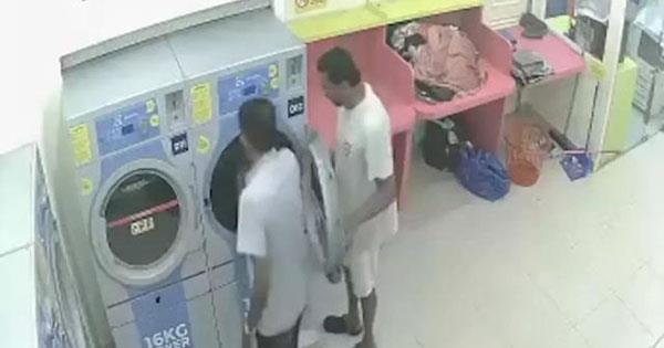 可耻 两男子竟将流浪猫扔进洗衣机 甚至发出阵阵笑声 多佳家电资讯网 可耻 两男子竟将流浪猫扔进洗衣机 甚至发出阵阵笑声 多佳家电资讯网